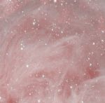 �V�X�܏o�΂���[��( � ?<� )�I