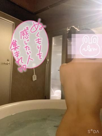 見納めパイ