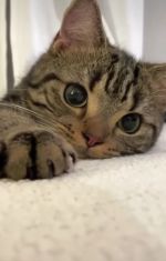 新人ゆめの♥体験入店