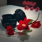 2026 初白書
