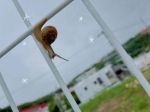 ありがとうございました♡