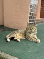 撮影したらおこ…