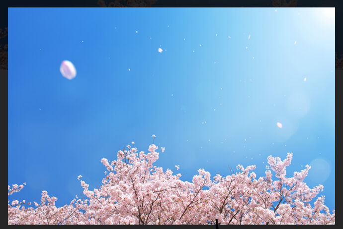おはようございます^ ^