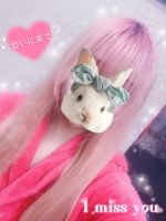 残り1枠かな~