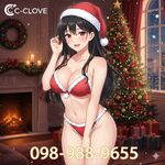 ??�N���X�}�XPremium�� �J��??