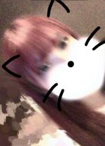 ☆かな☆