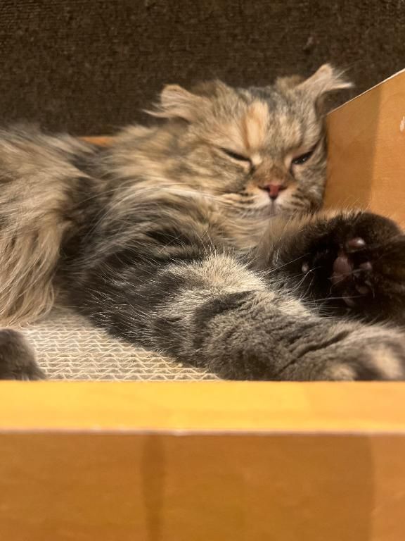 ふう(〃ω〃)