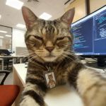 ありがとうございました