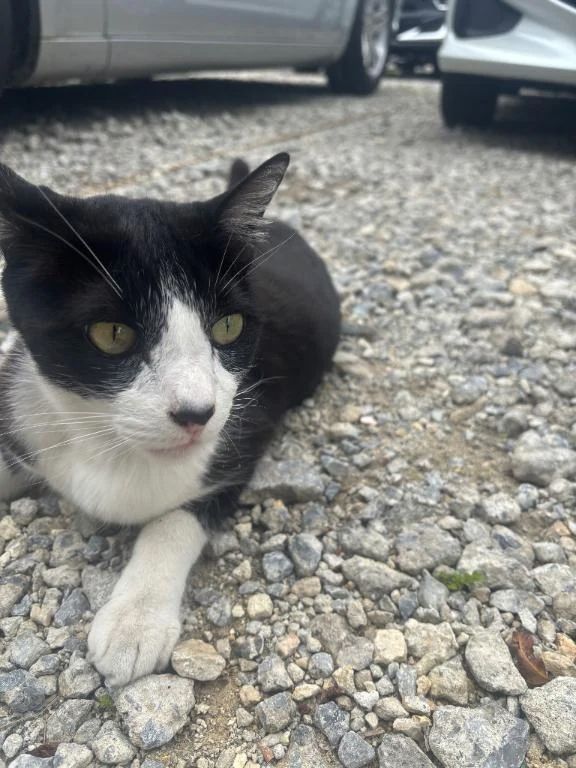 ありがとうございます