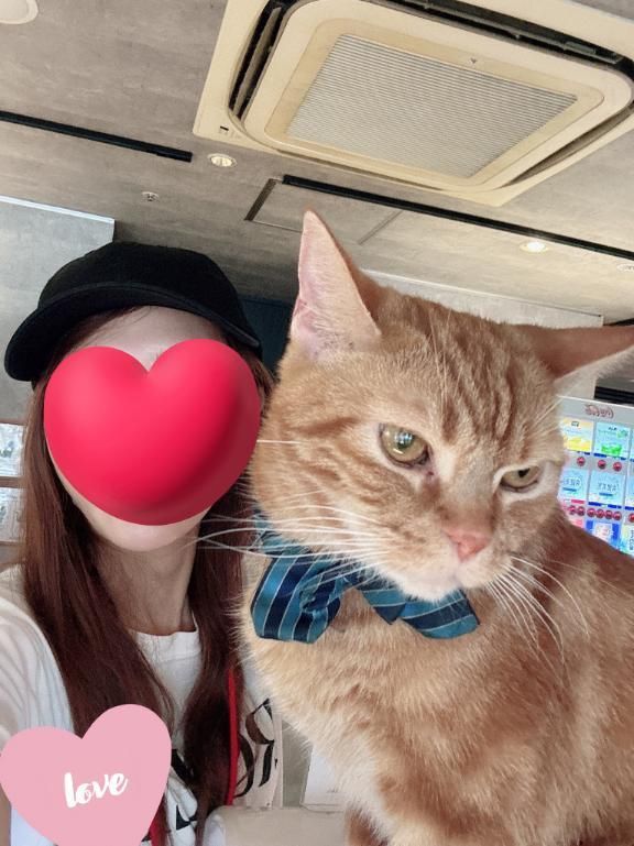 にゃにゃにゃーん!