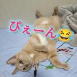 みずき
