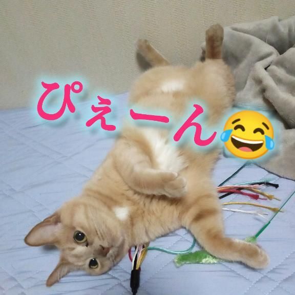 無題