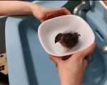 最近暑いよねー