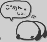 きらり♡体験入店