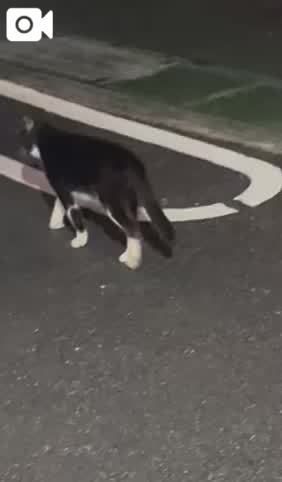 おやすみ