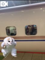 りいな