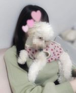 犬すき