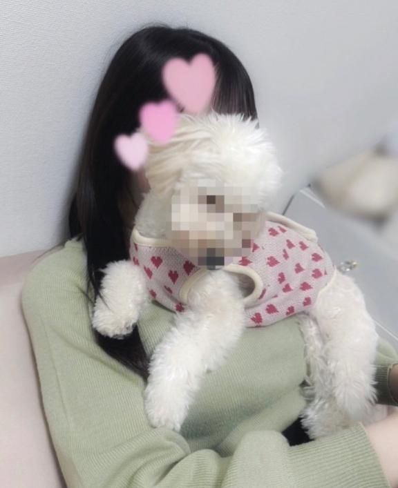 犬すき