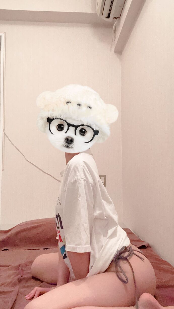 たいきん