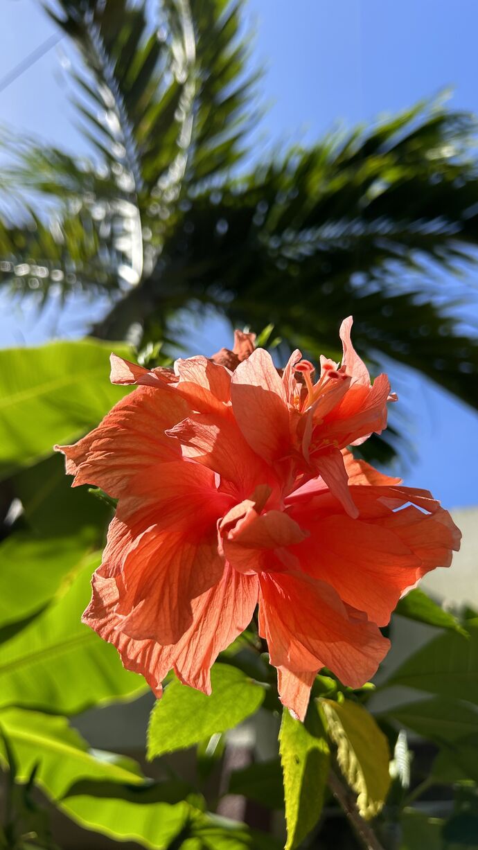 おはようございます☀️