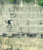ましろ