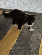 はじめまして
