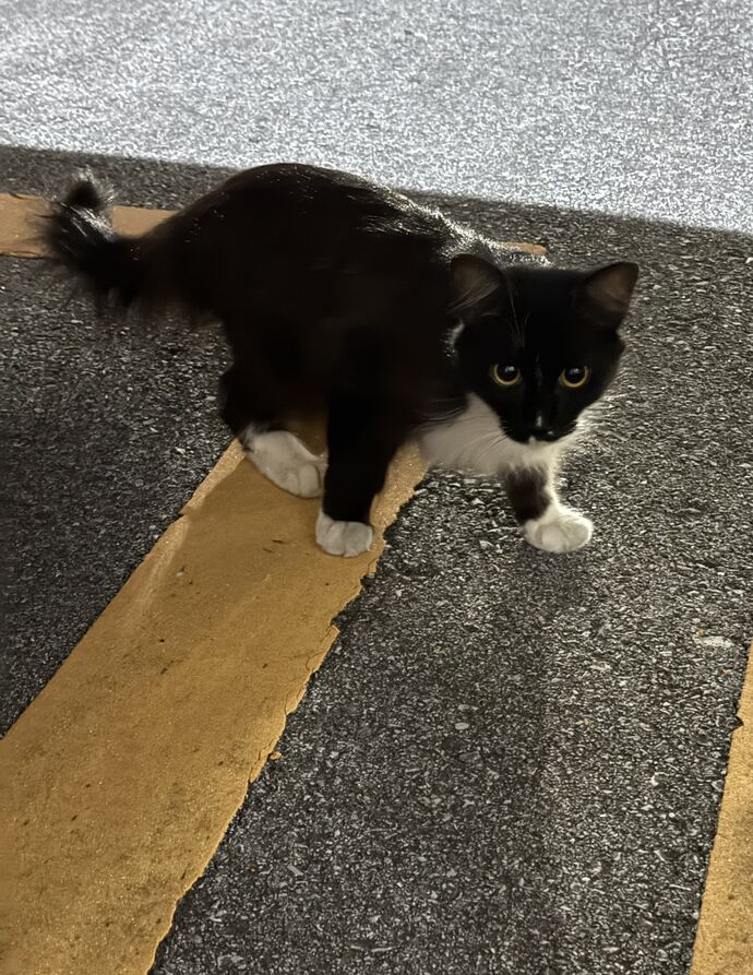 はじめまして