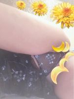 �����s����ό��l