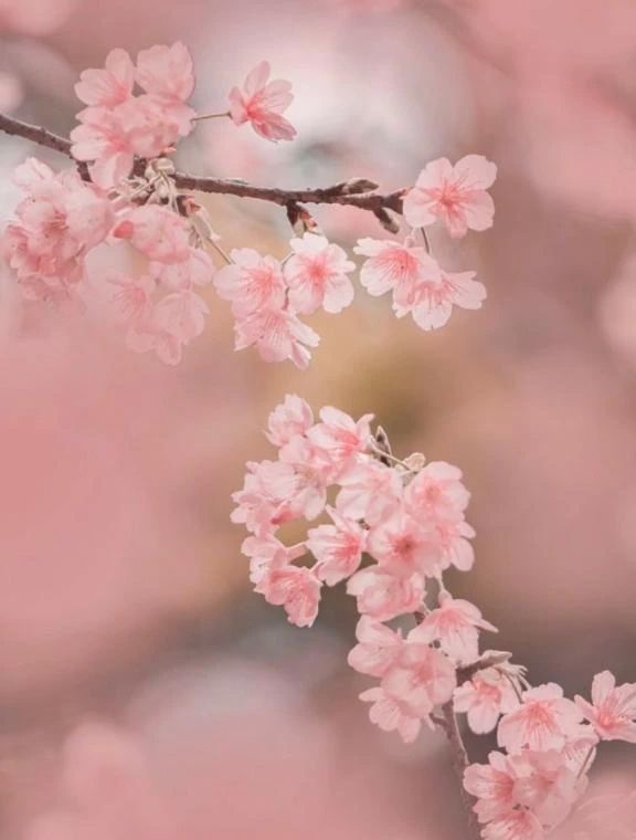 ごめんなさい。