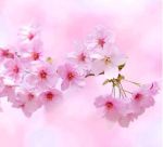 ごめんなさい。