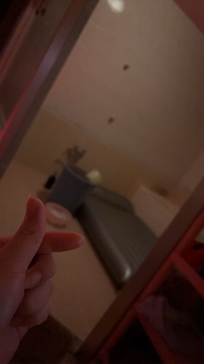 今週の出勤予定🎶