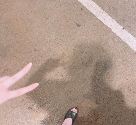 沖縄の風