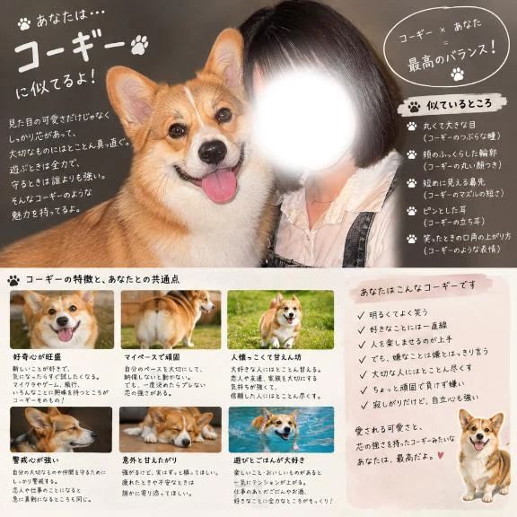 動物診断