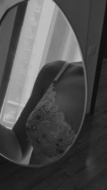 ��������??