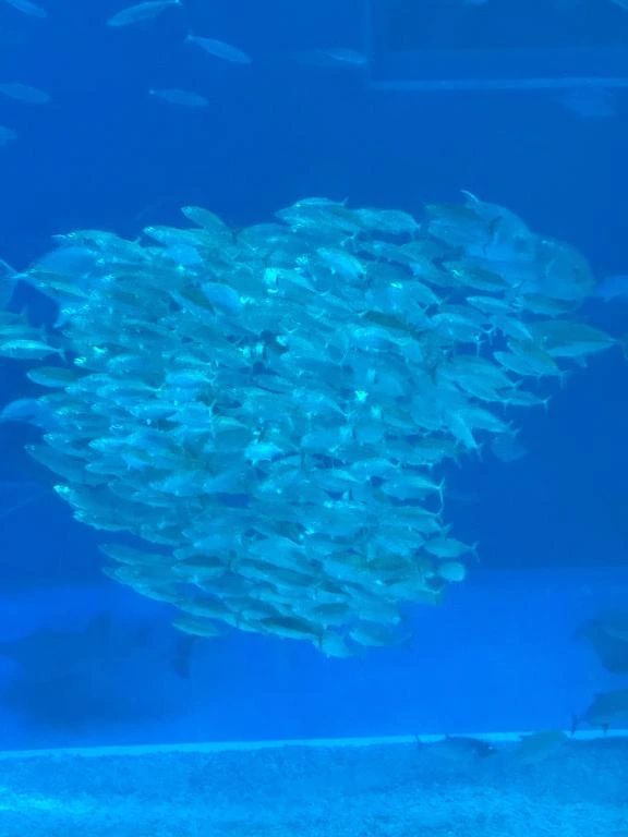 おはようございます