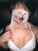 ??�����̏o�Γ��L???