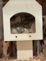 今週の出勤予定♪