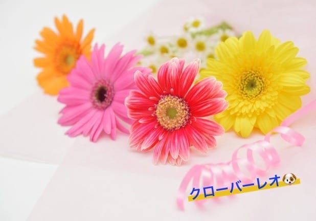おれい♡♡
