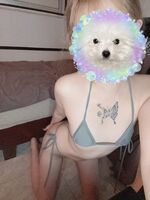 えろはぴナイト