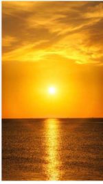 �����܂��Ă��߂łƂ��������܂�