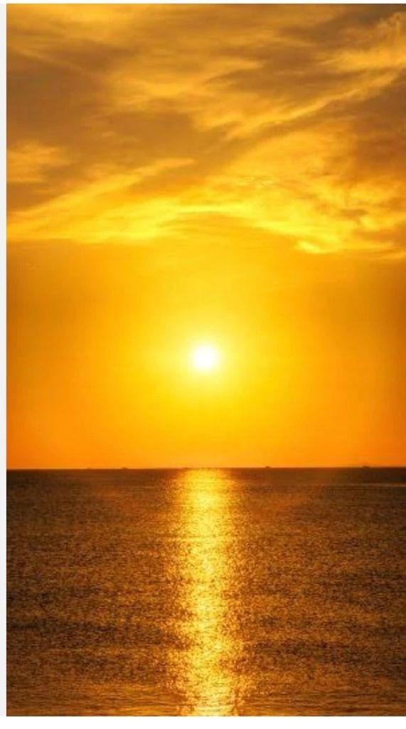 あけましておめでとうございます