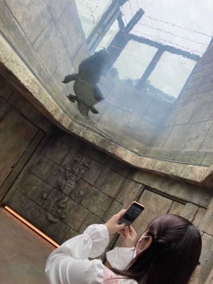 待機になりました