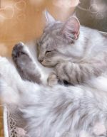 �{�����x��