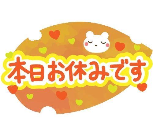 今日は…