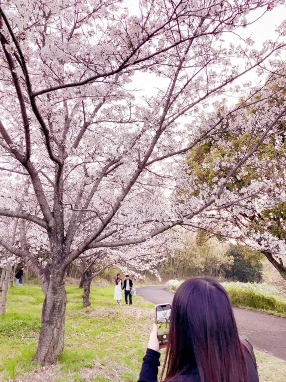 今日もーおしまいです