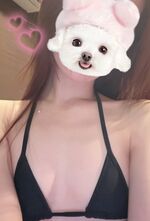 �{�w120���肪�Ƃ��������܂���??