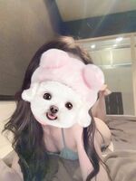 �w�����肪�Ƃ��������܂���??