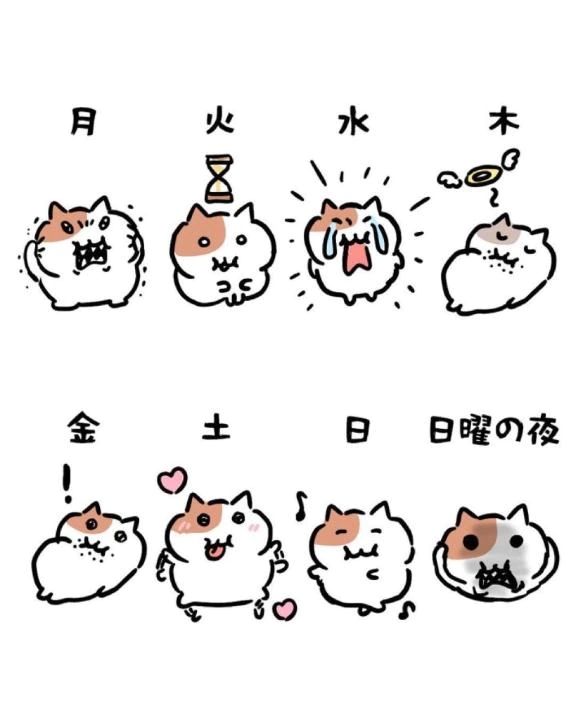 感動的な出会い