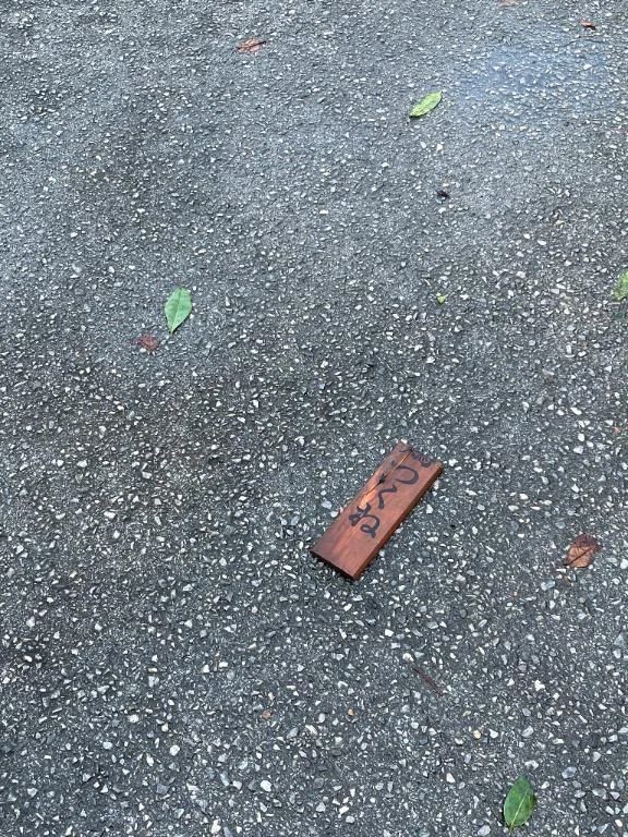 台風の爪痕❓