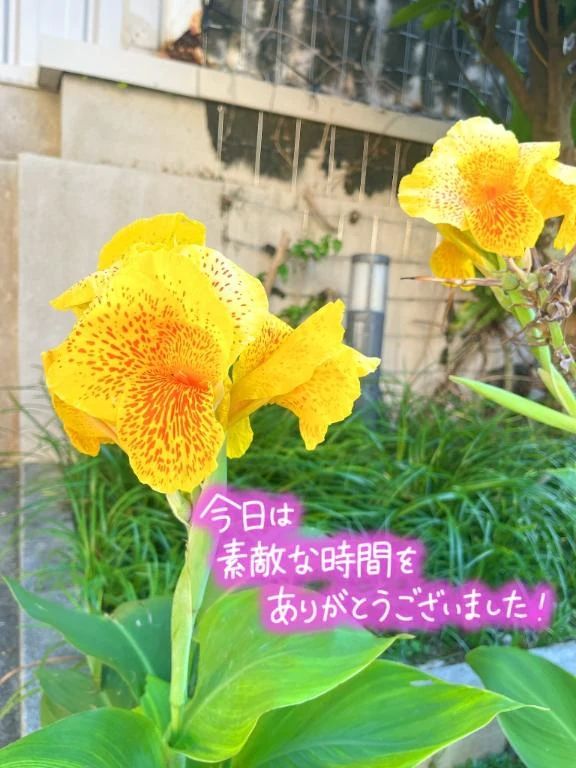 すっごいの